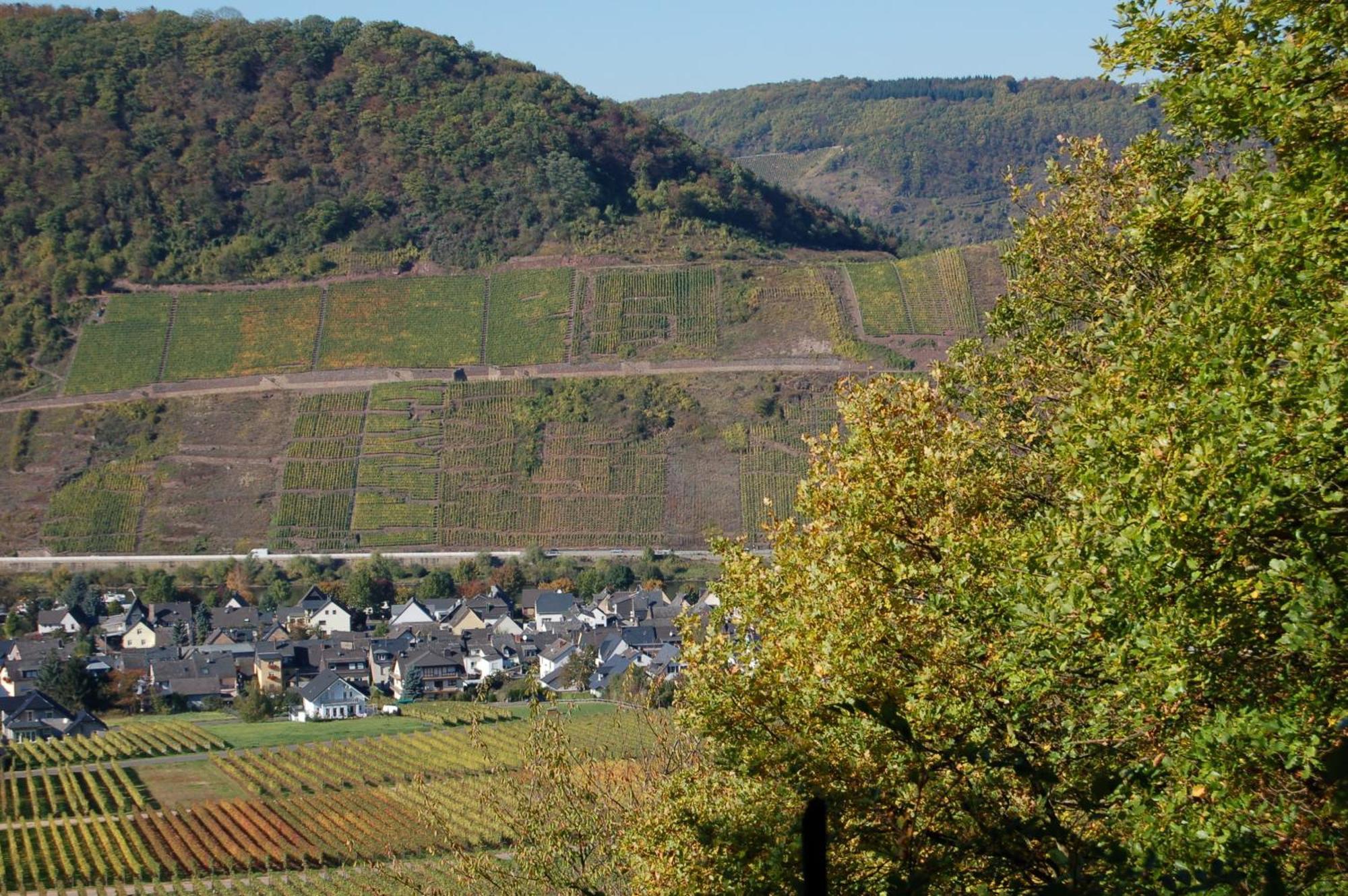 Ferienhaus Mosel Bub Bruttig-Fankel Εξωτερικό φωτογραφία