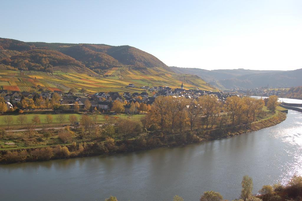 Ferienhaus Mosel Bub Bruttig-Fankel Δωμάτιο φωτογραφία
